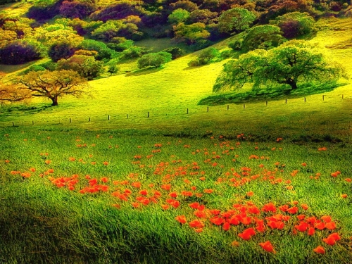 Stunning Nature Wallpapers (141 wallpapers)