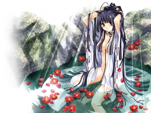 Anime Girls wallpapers (2011) (58 )