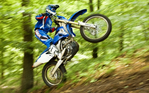 Moto Wallpapers (281 )