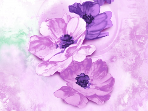 Flowers Wallpapers (233 ) (  )