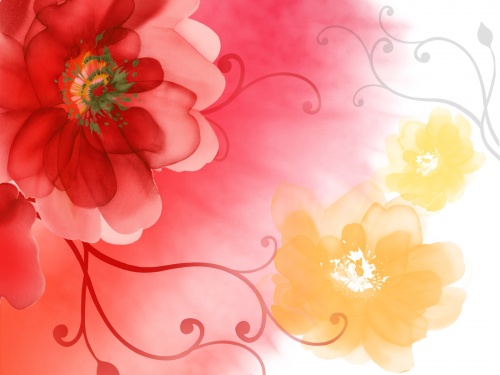 Flowers Wallpapers (233 ) (  )