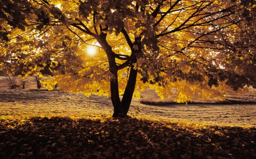 Autumn wallpapers by famdoc (105 )