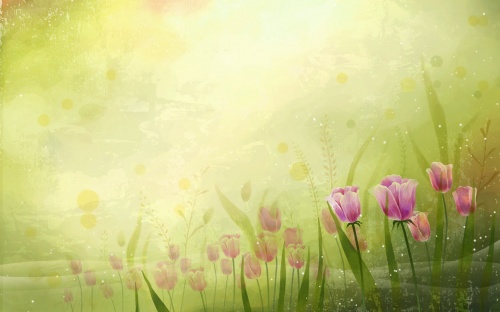 Flowers Wallpapers (82 )