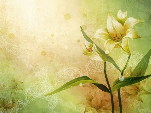 Flowers Wallpapers (82 )