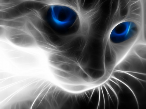 Cats Wallpapers (154 wallpapers)