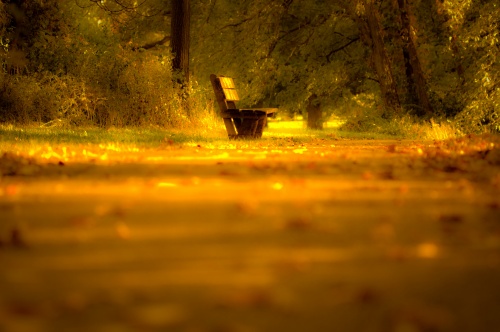 Gold Autumn Wallpapers (105 )