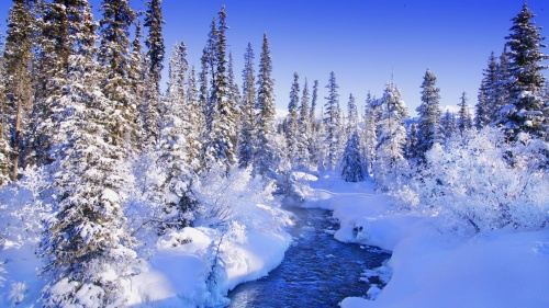 Winter wallpapers of enchanting nature (41 wallpapers)