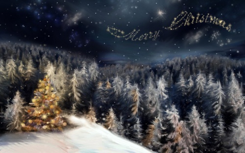 New Year's, Winter Wallpaper "2011" (609 wallpapers)