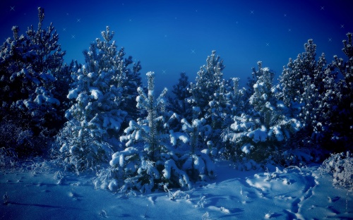 New Year's, Winter Wallpaper "2011" (609 wallpapers)