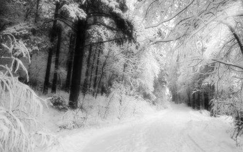 New Year's, Winter Wallpaper "2011" (609 wallpapers)