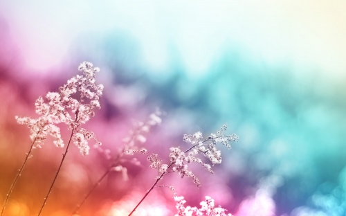 85 Perfect Mixed HQ Colorful HD Creative Wallpapers (53 )